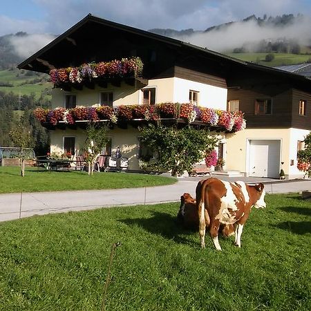 Rieserhof/Fam. Meissnitzer Таксенбах Экстерьер фото