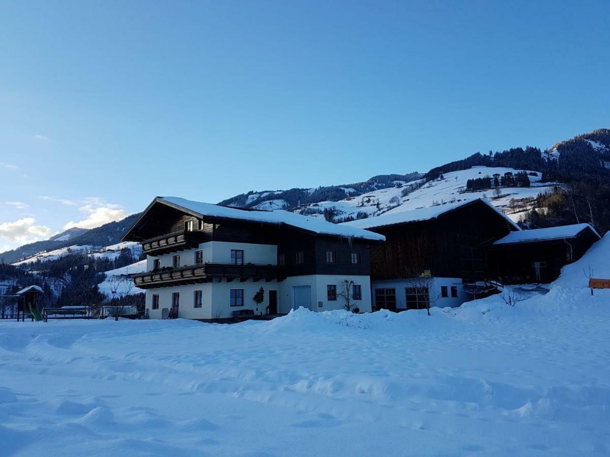 Rieserhof/Fam. Meissnitzer Таксенбах Экстерьер фото